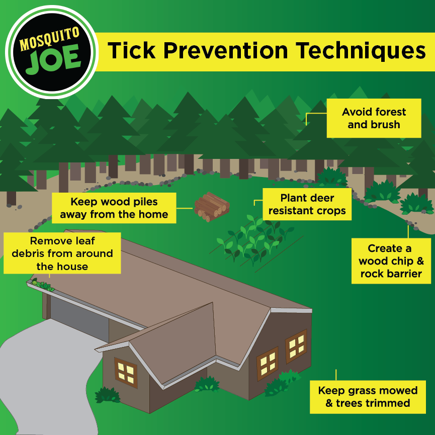 Tick Prevention Techniques for yard.